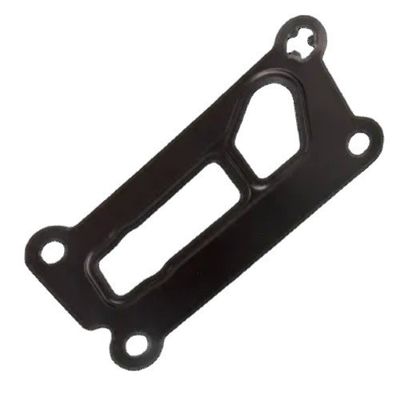 Adapterverschluss Elring LR025007 für Land Rover Discovery Sport Range Rover Sport Evoque Freelander