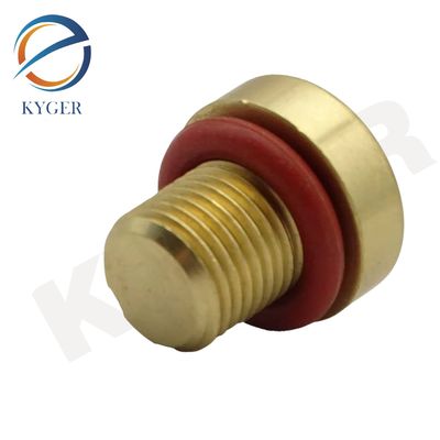 17111712788 Autoteile 1711 1712 788 Heizkörper Überfluss Kühlmittel Expansionsbehälter Bleeder Schraube Für BMW E36 E39 E46