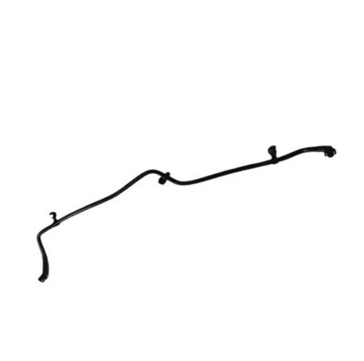 Name